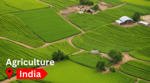 Read more about the article Top Three Agricultural Businesses In India