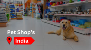 Read more about the article Top 3 Pet Care Center’s In India